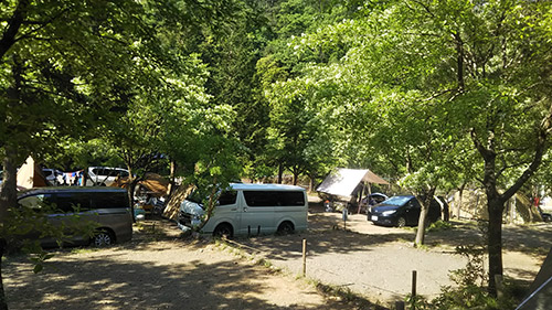 モミの木キャンプ場オートキャンプサイト